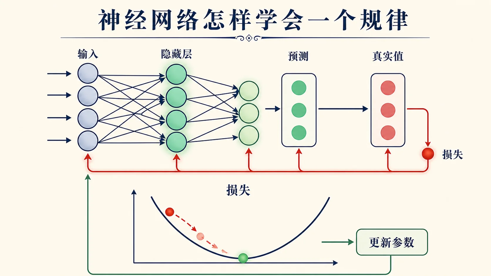 神经网络通过预测、损失与参数更新学习